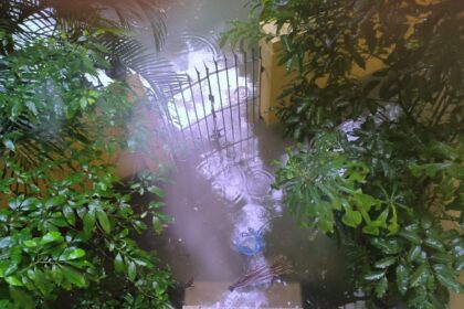 Overnight rain in Kolkata kills at least 7