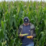 US farmers face margin pressure as tariff uncertainty continues: RaboResearch