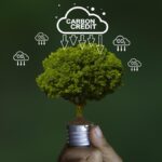 How to accurately peg ‘additionality’ in carbon credits  