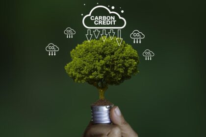 How to accurately peg ‘additionality’ in carbon credits  