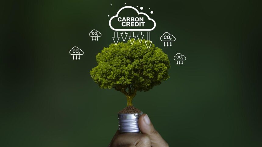 How to accurately peg ‘additionality’ in carbon credits  
