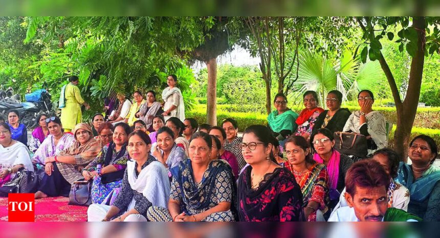 Appointed, ignored & unpaid: Meet India's 'invisible' teachers