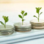 Wealth Company MF launches NFOs in flexi cap, arbitrage, ethical & liquid funds