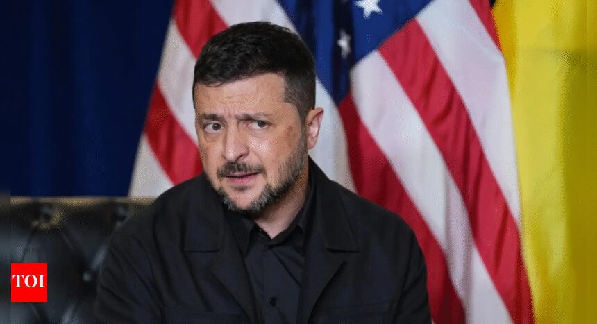India mostly with us, says Zelenskyy, hopes for more
