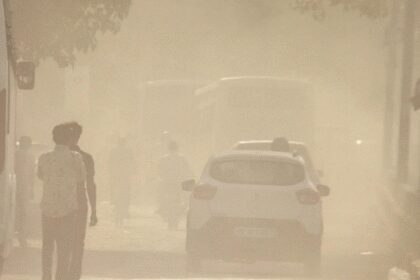 Environment-related offences increased by 30%, tobacco-linked crimes dominate the green violation figures in 2023