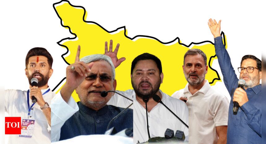Bihar elections 2025: The key players and what's at stake for them?
