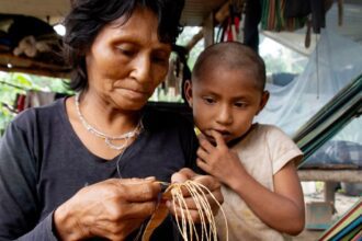 ‘On our own territory’: Colombia’s last nomadic tribe fights to return home