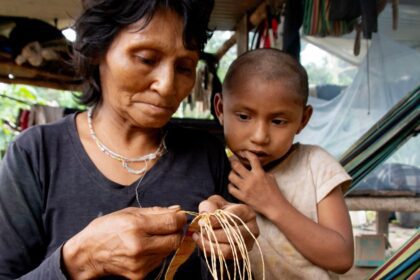 ‘On our own territory’: Colombia’s last nomadic tribe fights to return home