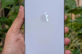 When form takes flight! - The HinduBusinessLine