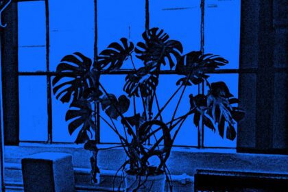 The Argument for Letting AI Burn It All Down