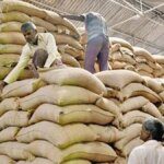 FCI to sell rice directly to consumers from Nov 14 at Delhi Trade Fair