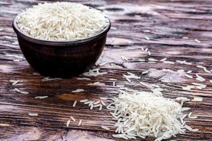 Global rice conference kickstarts despite govt backing out