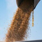 How China encouraged Brazil to grow more soybeans to take on the US
