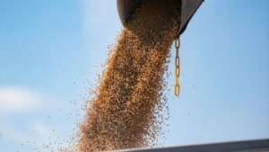 How China encouraged Brazil to grow more soybeans to take on the US