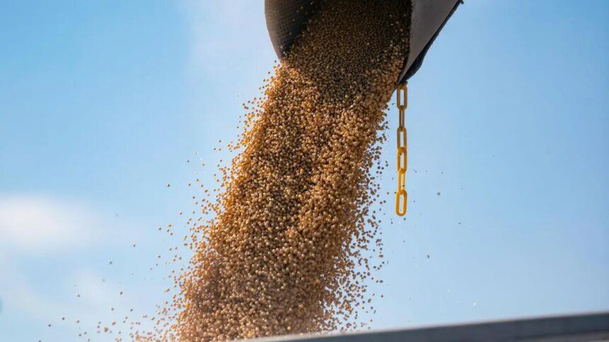 How China encouraged Brazil to grow more soybeans to take on the US