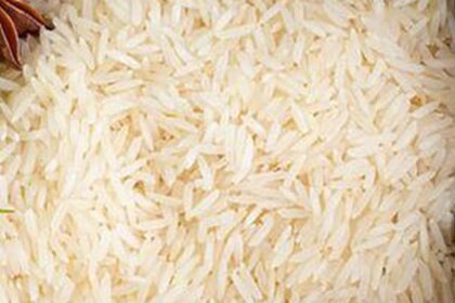 India unlikely to agree delinking GI for basmati rice from FTA with EU