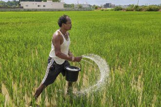 India’s crop advisory body recommends phased hike of urea price