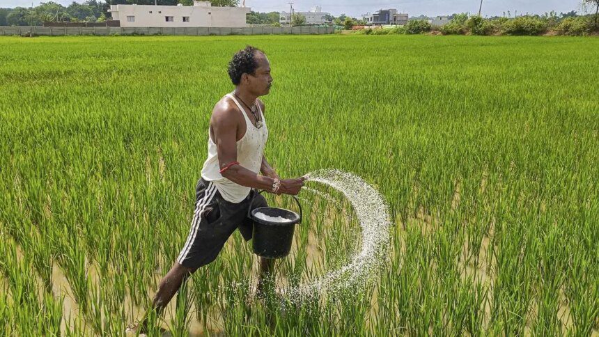 India’s crop advisory body recommends phased hike of urea price