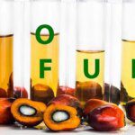 Indonesia’s new biodiesel mandate to support global palm oil prices