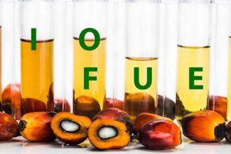 Indonesia’s new biodiesel mandate to support global palm oil prices