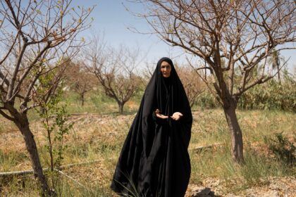 Water salinity hurting farmers, livestock in Iraq