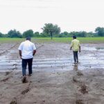 Excess rains, floods cause damage to crops on over 9.6 lakh hectares in Karnataka