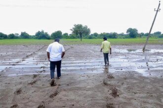Excess rains, floods cause damage to crops on over 9.6 lakh hectares in Karnataka
