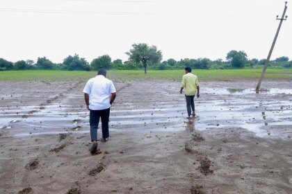 Excess rains, floods cause damage to crops on over 9.6 lakh hectares in Karnataka