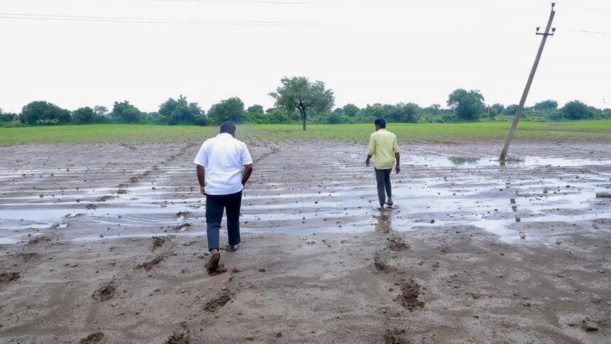 Excess rains, floods cause damage to crops on over 9.6 lakh hectares in Karnataka