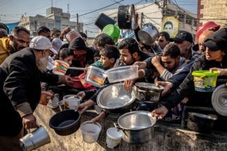 Less than 16% of agreed aid entering Gaza daily; WHO calls hunger crisis ‘catastrophic’ despite ceasefire