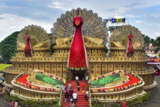 Google Preferred Source