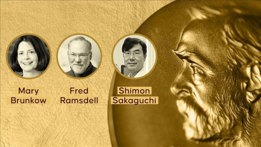 Three scientists awarded Nobel Prize in Medicine for pioneering work on immune tolerance