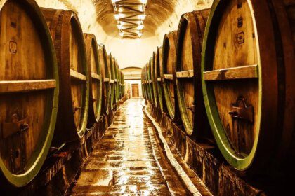 Radico Khaitan completes Rampur Jugalbandi series with final two expressions