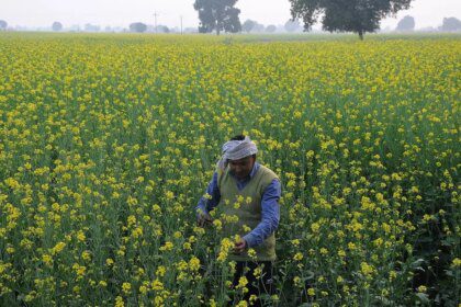 SEA asks Govt to defend MSP with effective policy measures 