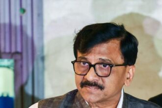 Sanjay Raut (ANI Picture Service)