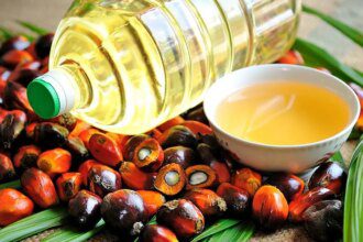 September palm oil imports hit 4-month low, soyoil jumps to 3-year high