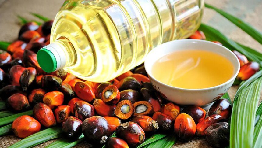 September palm oil imports hit 4-month low, soyoil jumps to 3-year high