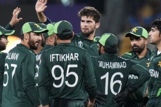 Shaheen Afridi appointed Pakistan's new ODI captain after Mohammad Rizwan's sacking