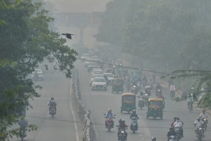 Thick smog blankets New Delhi after Diwali fireworks