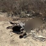 11 members of a Palestinian family wiped out while returning home in Israeli attack; death toll since ceasefire rises to 28