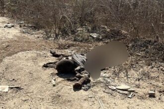 11 members of a Palestinian family wiped out while returning home in Israeli attack; death toll since ceasefire rises to 28