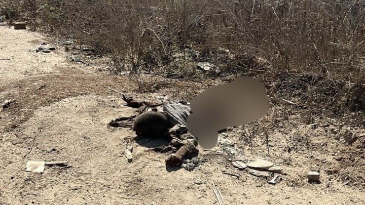 11 members of a Palestinian family wiped out while returning home in Israeli attack; death toll since ceasefire rises to 28