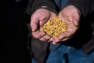 US soya bean farmers battered by trade dispute with China