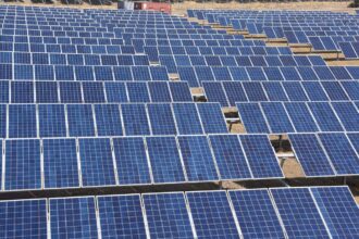 Vikran Engineering wins ₹354-crore solar EPC contract in Maharashtra