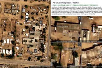 WHO condemns killing of over 460 patients, abduction of health workers in Sudan’s El Fasher