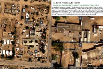 WHO condemns killing of over 460 patients, abduction of health workers in Sudan’s El Fasher