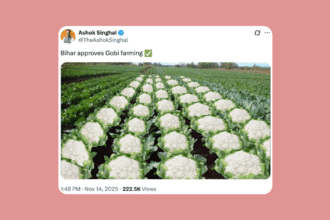 “Bihar approves Gobi farming”: Assam minister’s election post evokes Muslim massacre during 1989 Bhagalpur violence