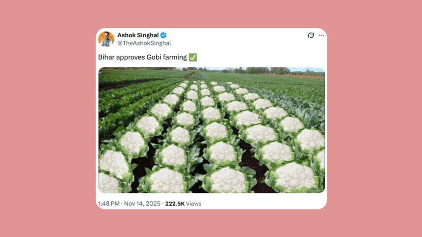 “Bihar approves Gobi farming”: Assam minister’s election post evokes Muslim massacre during 1989 Bhagalpur violence