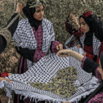 Palestine’s olives: A visual guide to the annual harvest and traditions