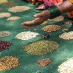 Govt proposes Seeds Bill to curb sale of spurious seeds, seeks comments on draft